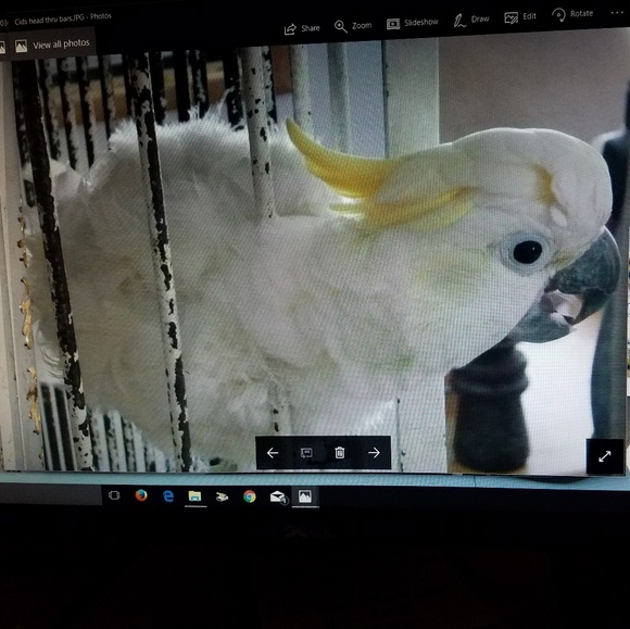 Meet your Posher, John - Picture 7 of 8